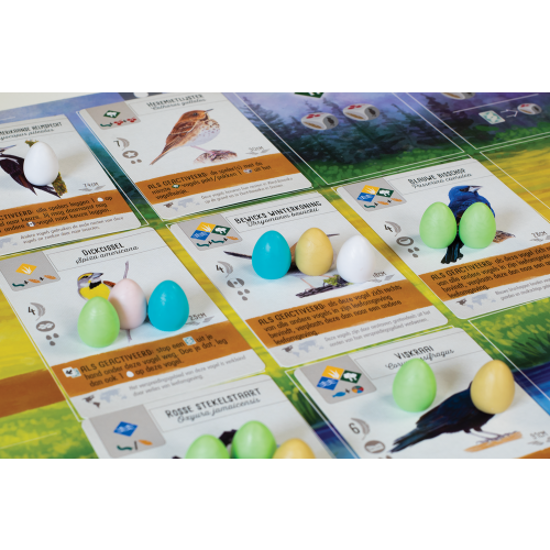 Wingspan bordspel van 999 Games vogelkaarten met eieren